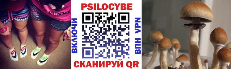 Купить  Джанкой  Галлюциногенные грибы GOLDEN TEACHER 
